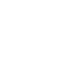 Personal Branding Icon