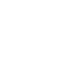 US Market Entry Icon